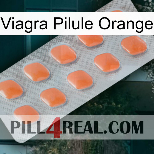 Viagra Orange Pill 26.jpg